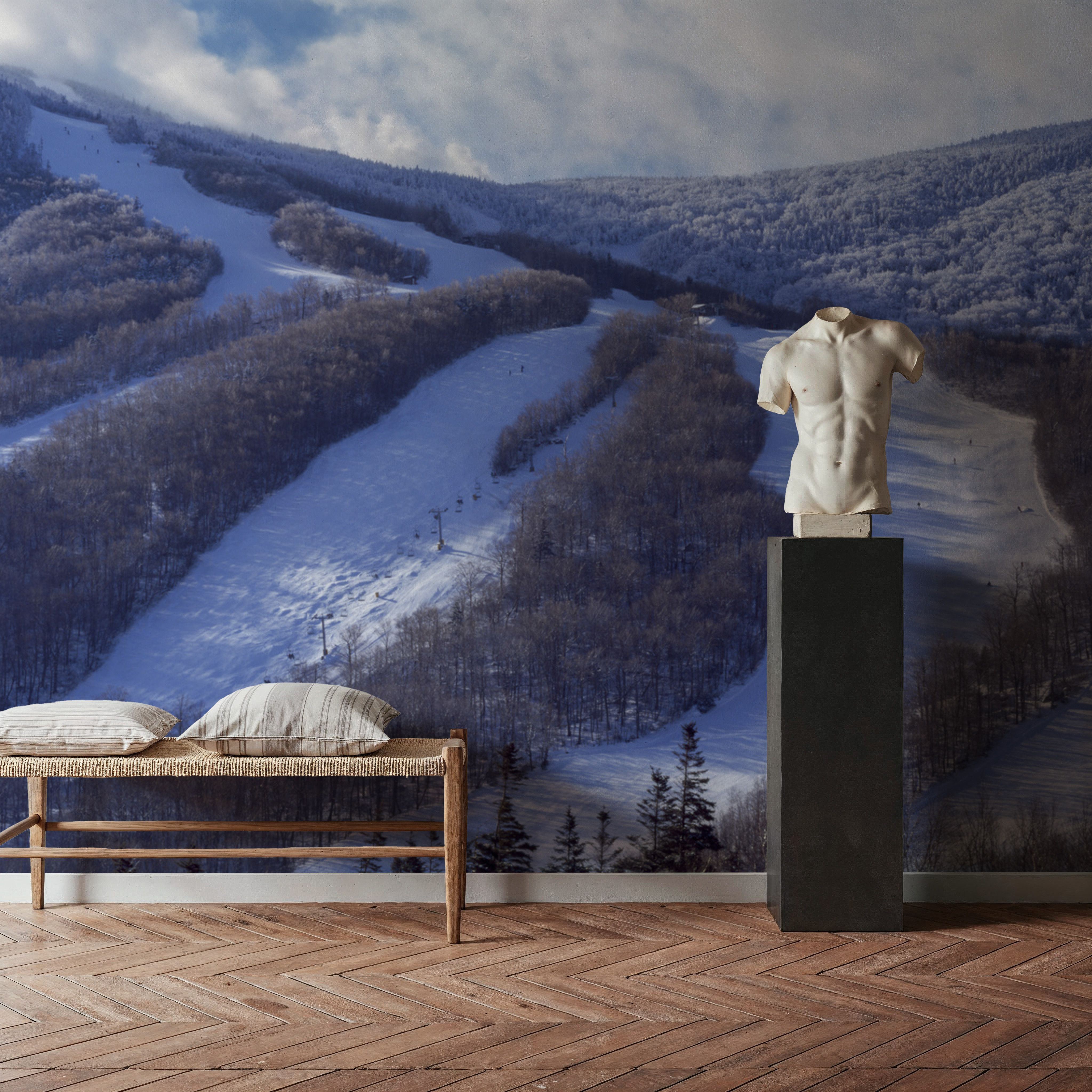 Alpine Descent