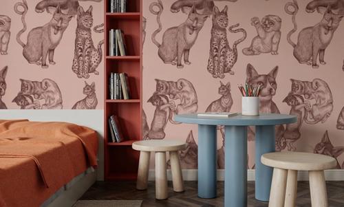 Cat Lounge, Pink