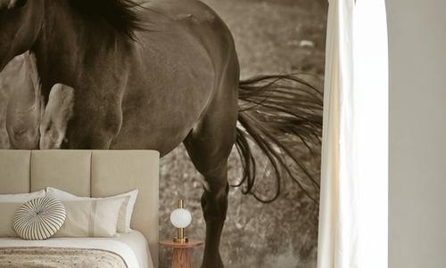 Horse Runner Sepia