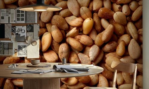 Pine Nut Harvest