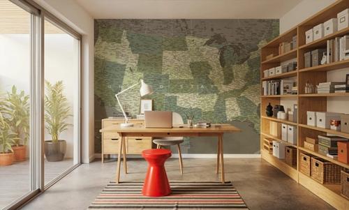 US Map Detailed - Camo