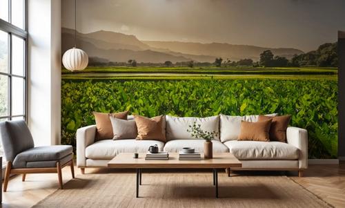 Golden Field Sunset
