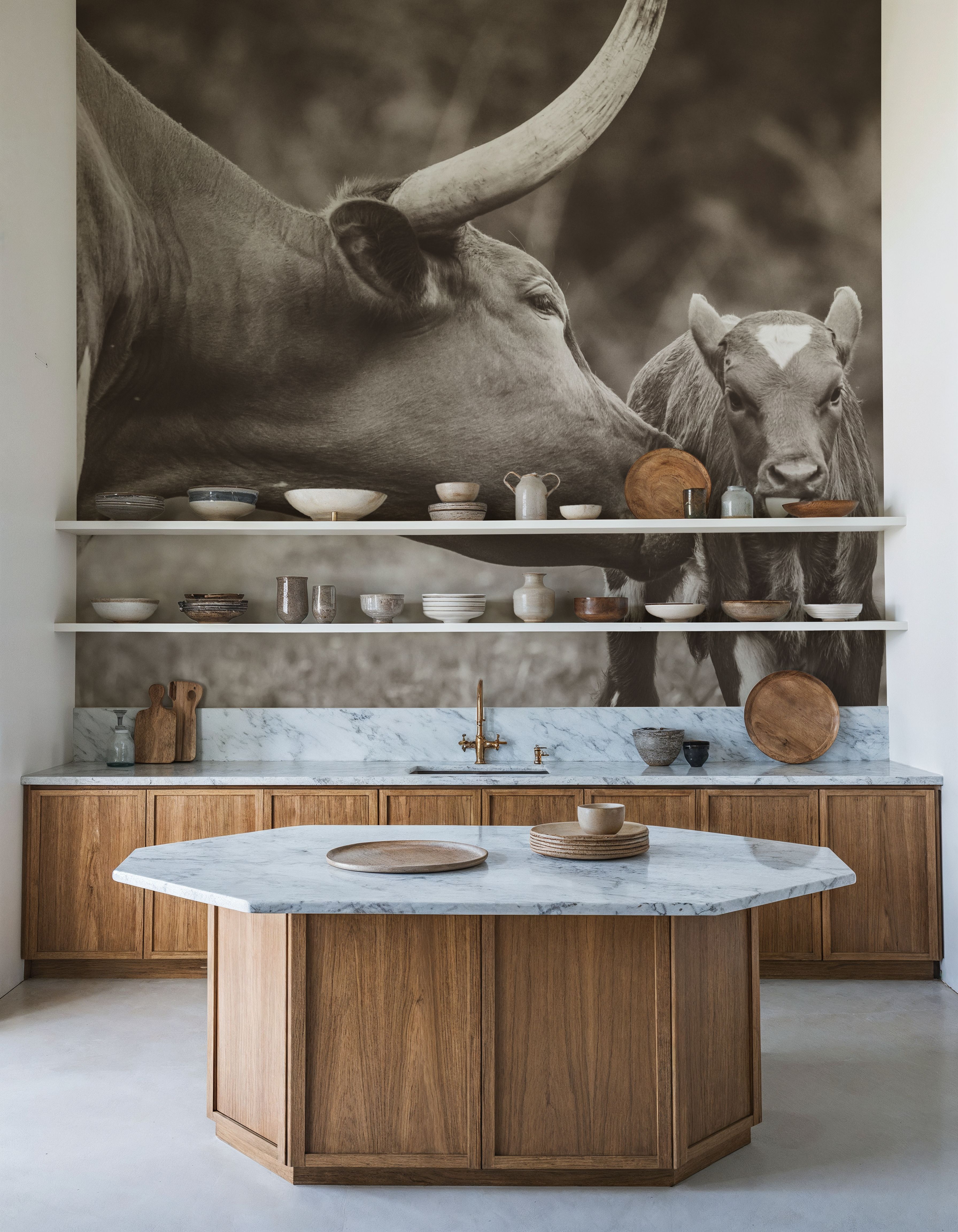 Longhorn Pasture Pair Sepia