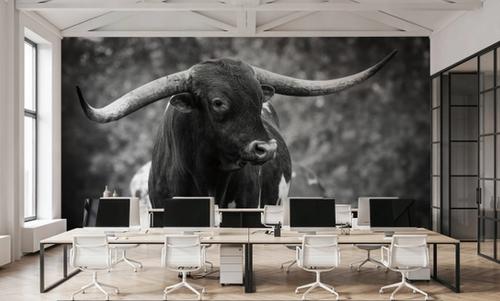 Longhorn Gaze I BW