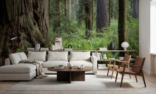 Ancient Fern Forest