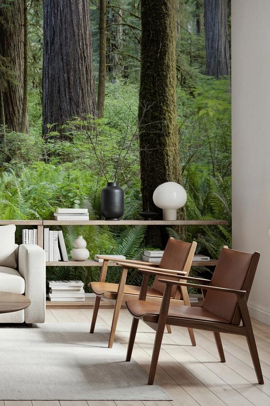 Ancient Fern Forest
