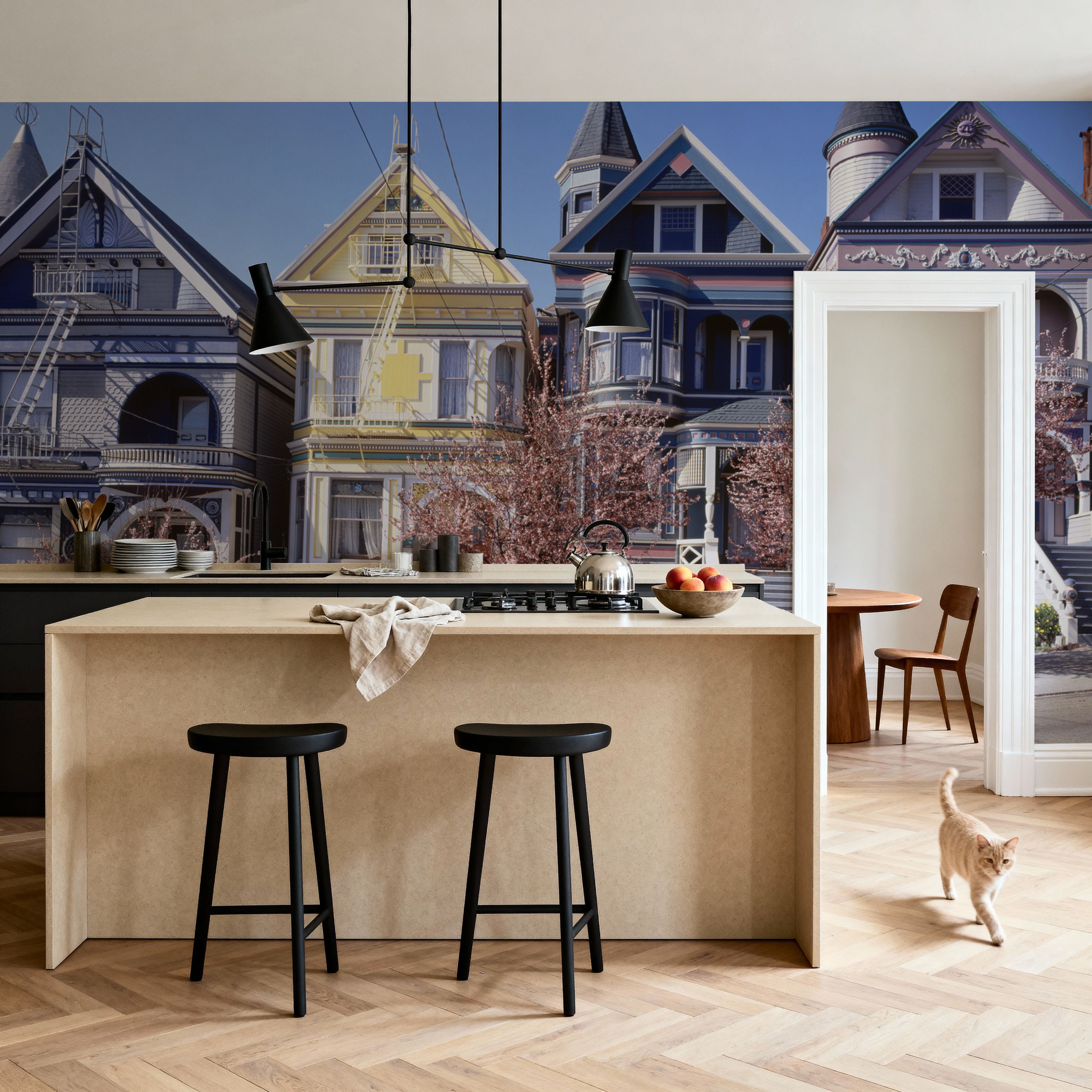 San Francisco Painted Ladies