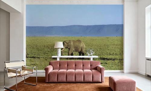 Savanna Migration