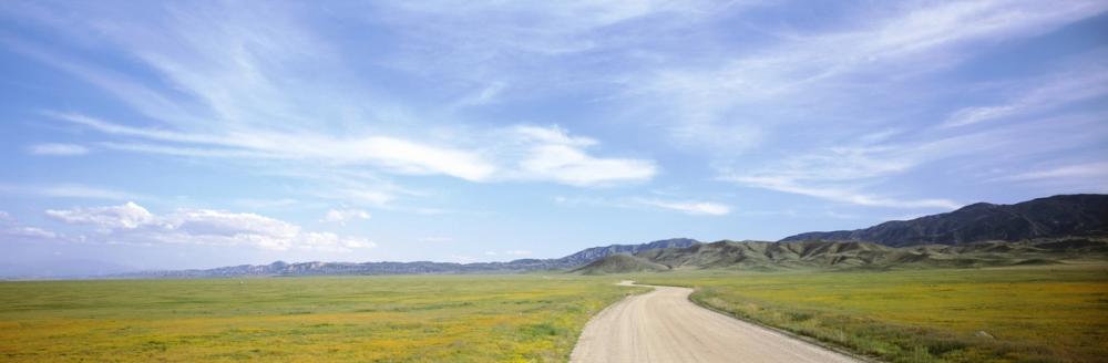 Country Road Horizon