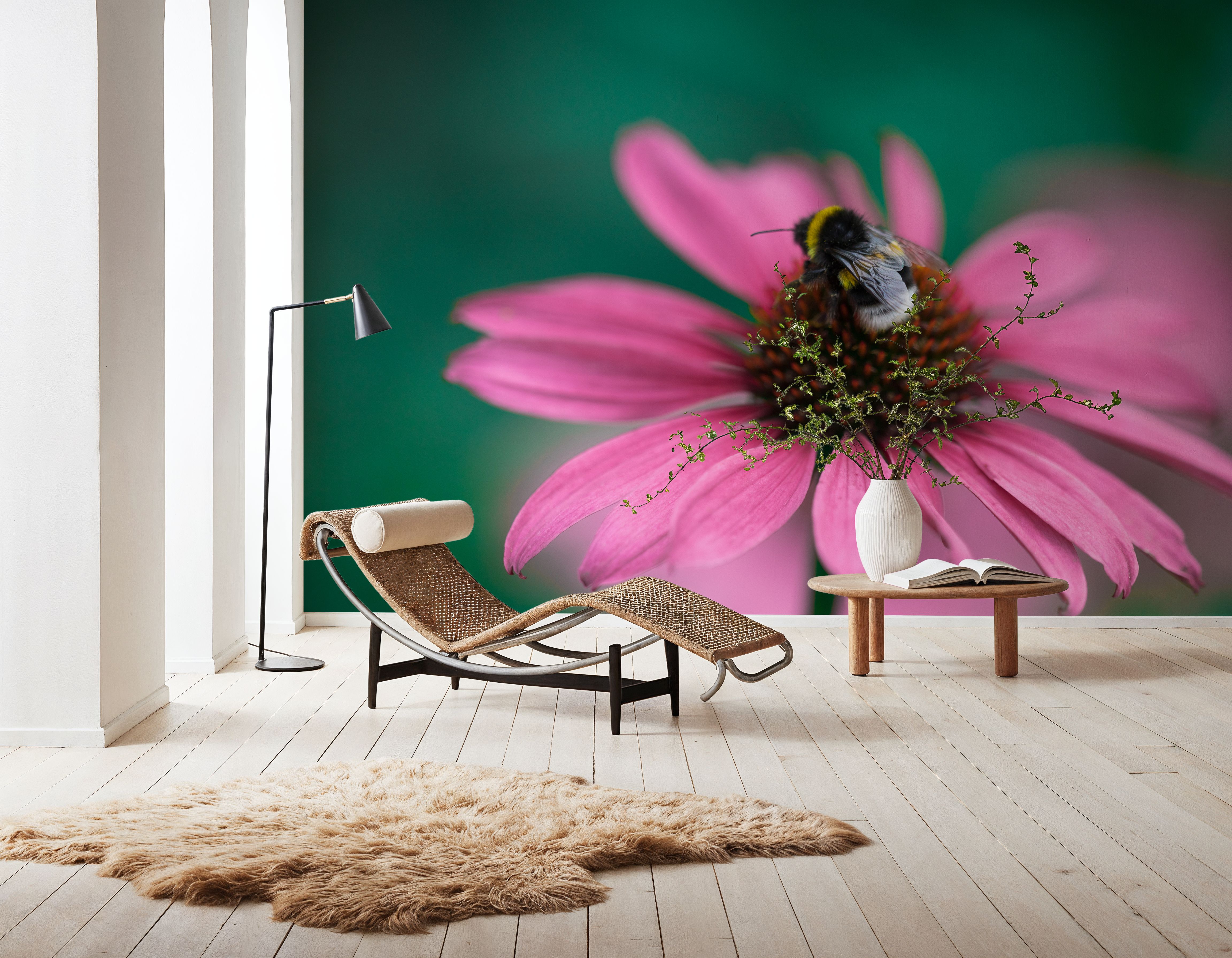 Echinacea & Bumblebee