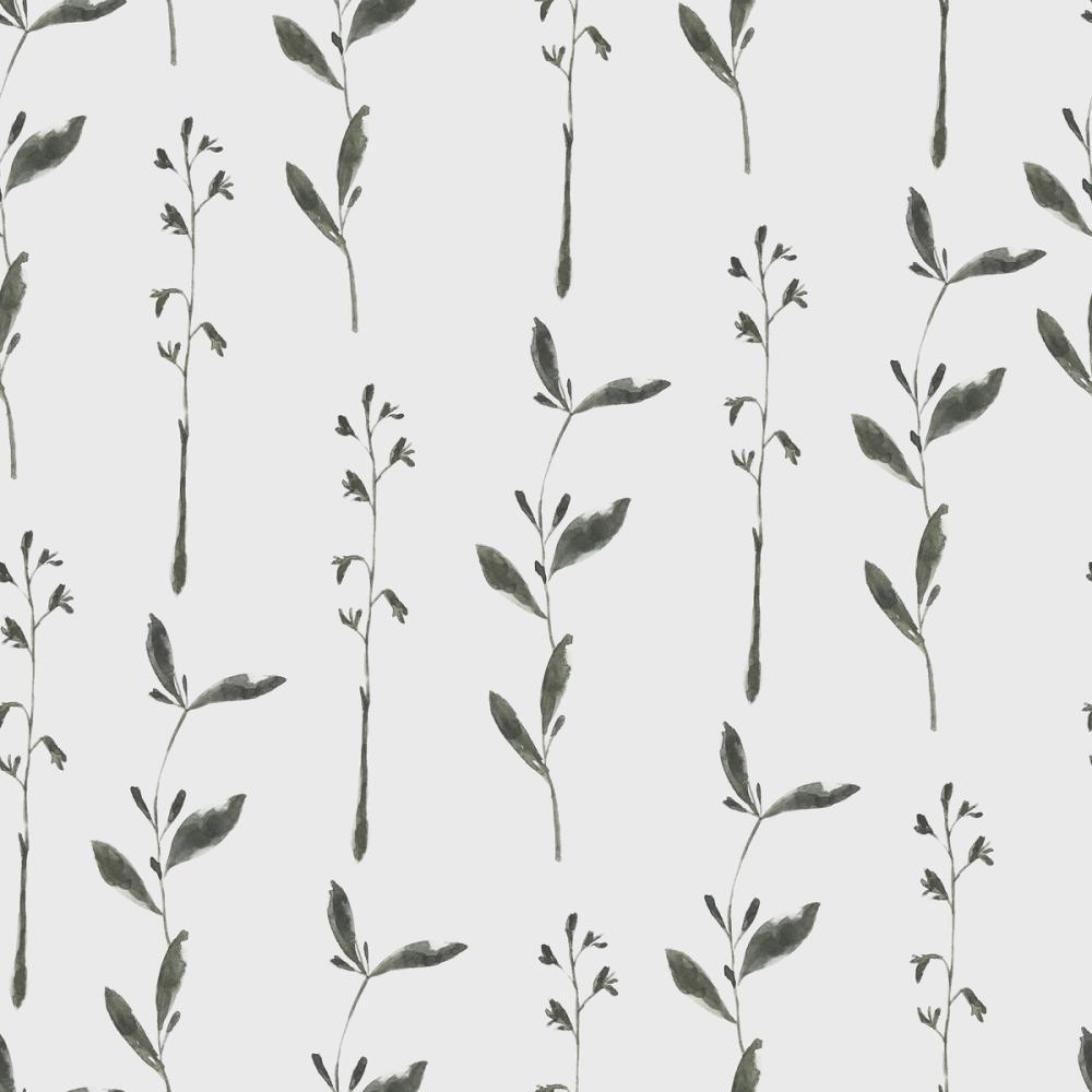 Herbs From The Sand Dune