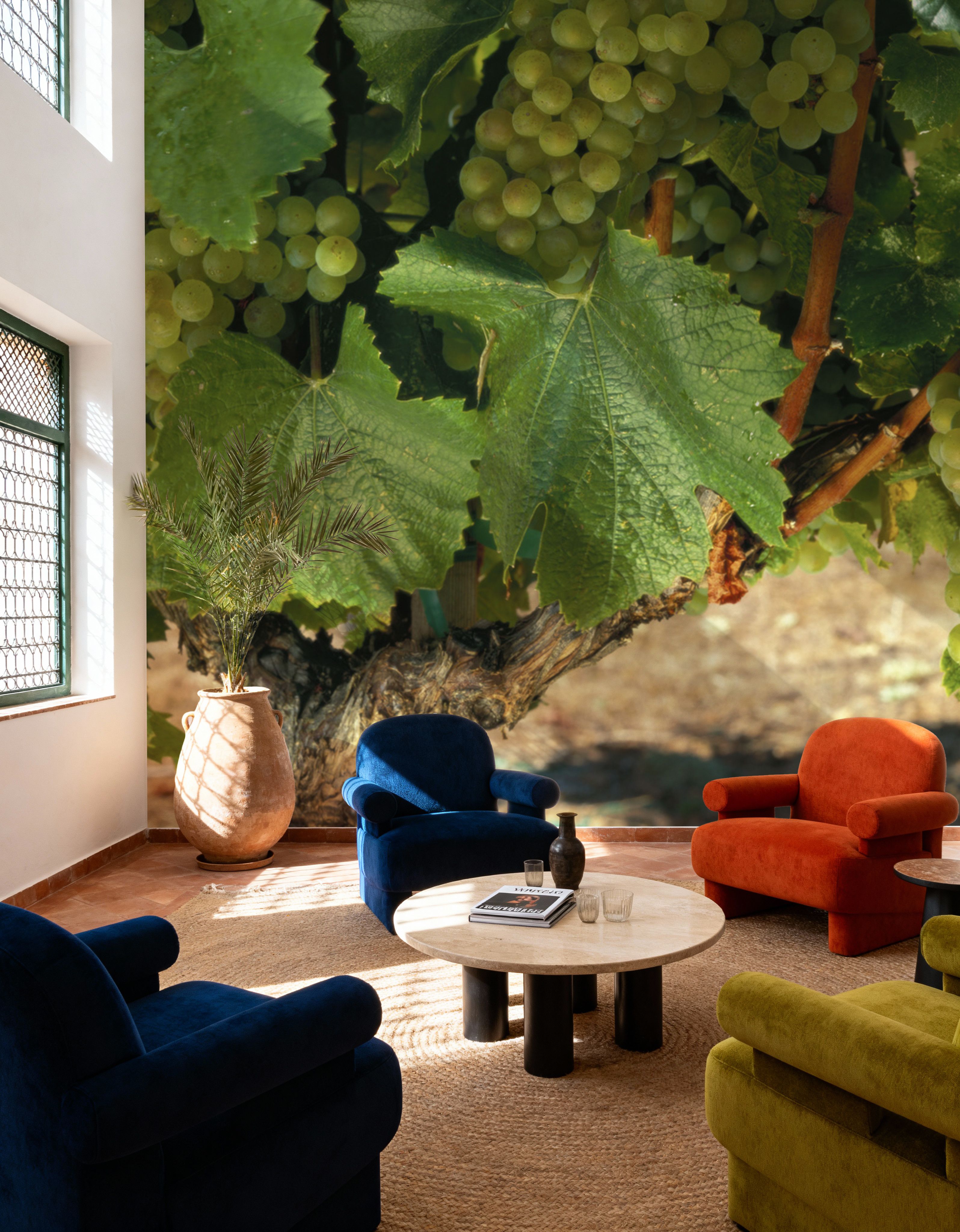 Napa Chardonnay Grapes