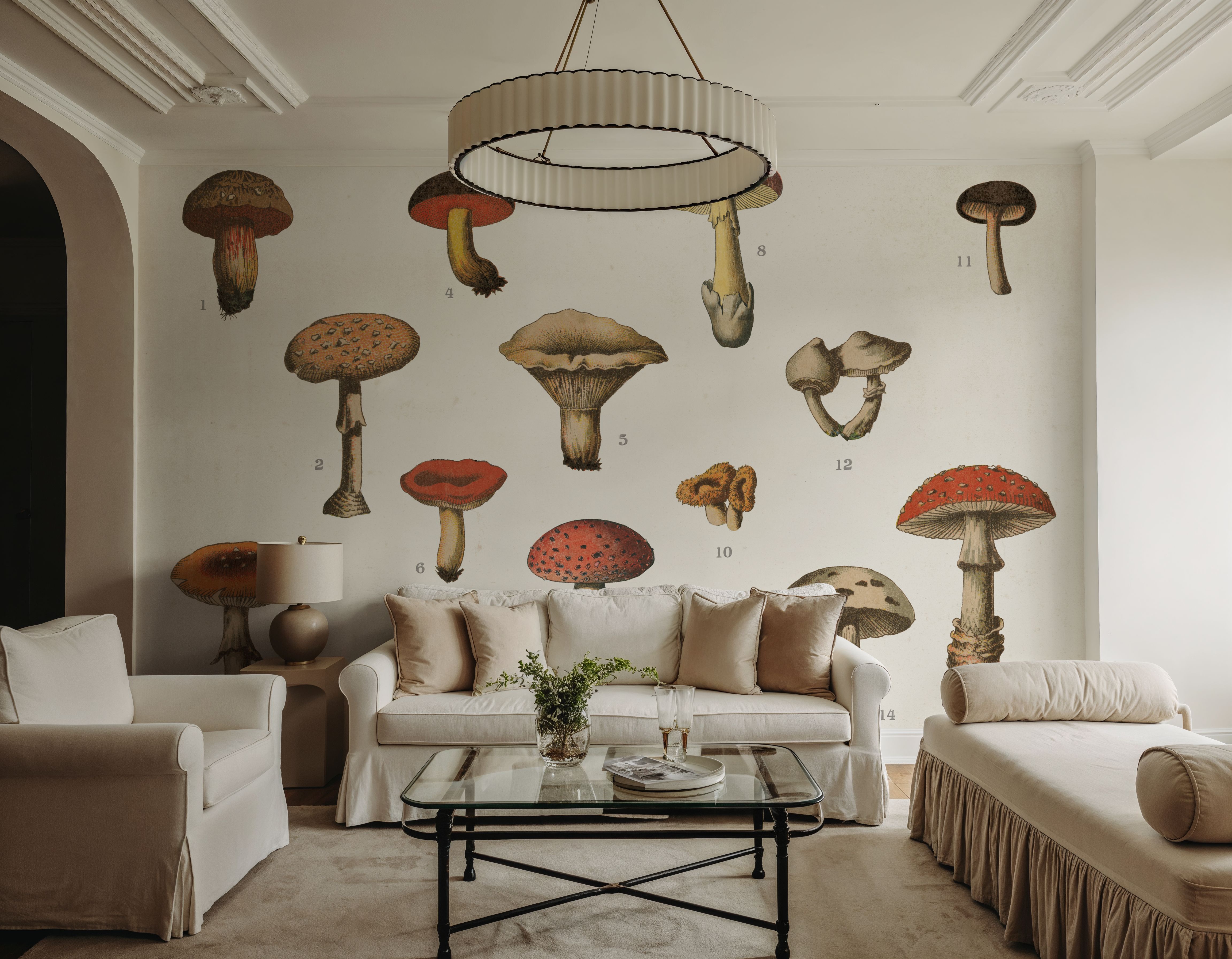 Mushroom Chart I light