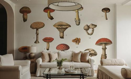 Mushroom Chart I light