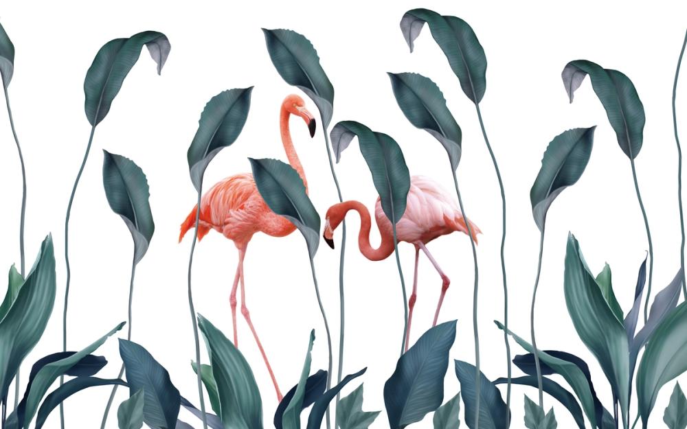 Shy Flamingos