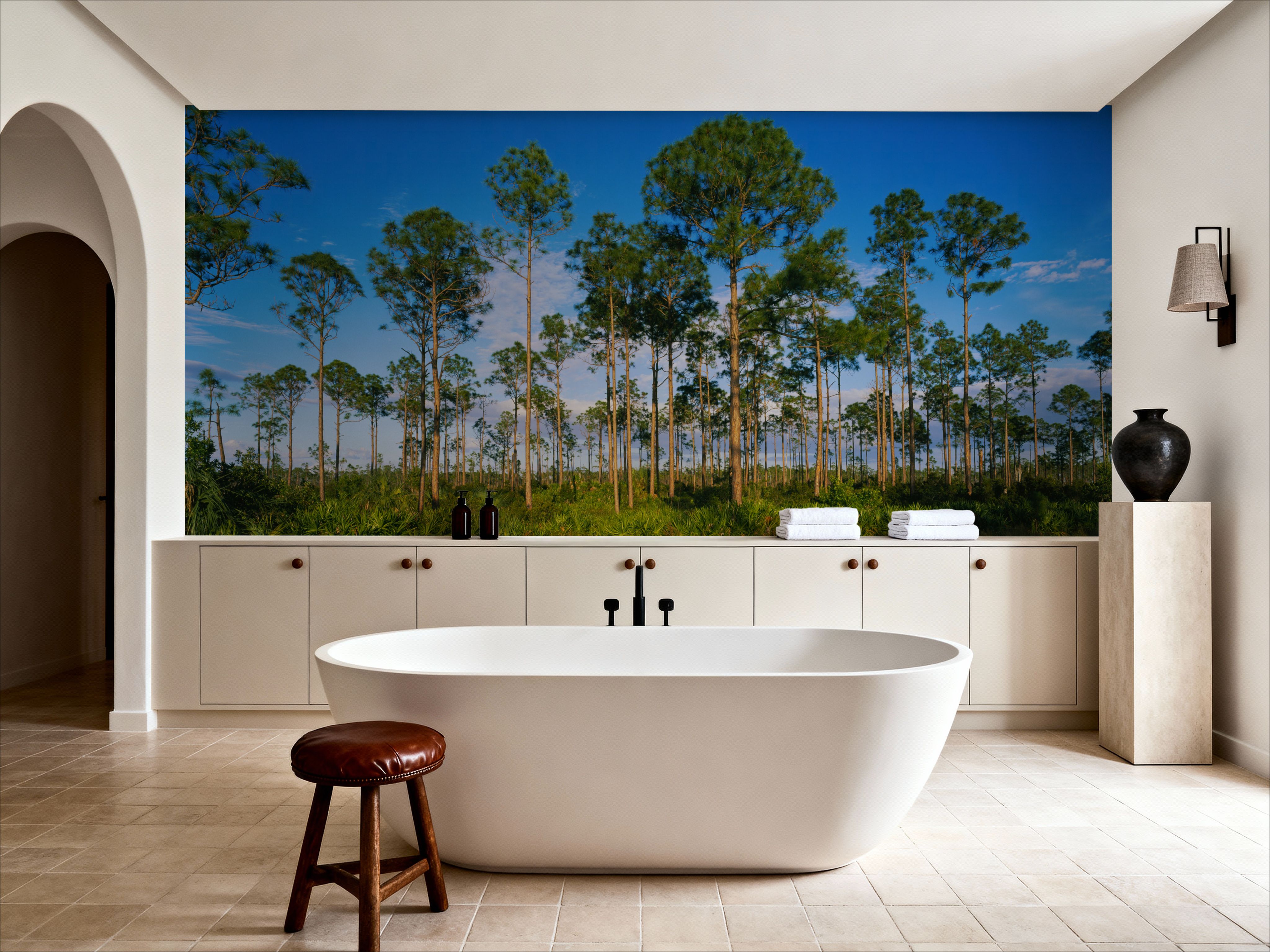 Everglades Tress in Daylight