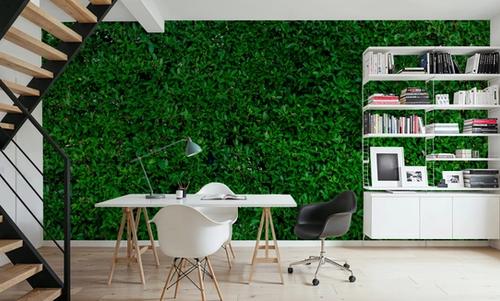 The Green Wall