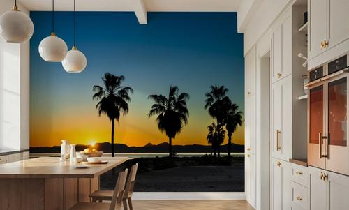 Palm Baja Dawn