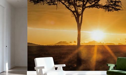 African Sunrise