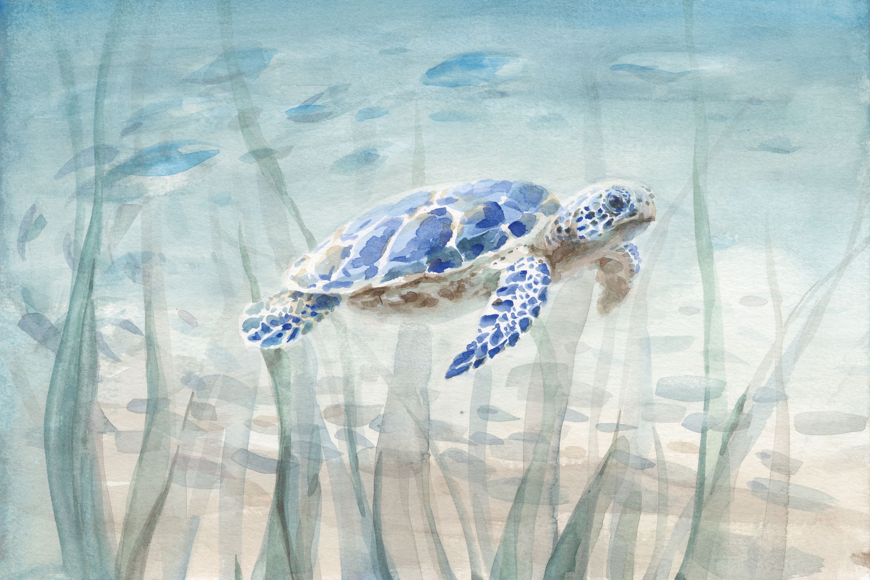 wallpaper design showing a sea turtle under water