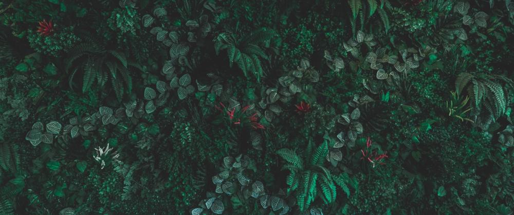 Welcome Back to Nirvana