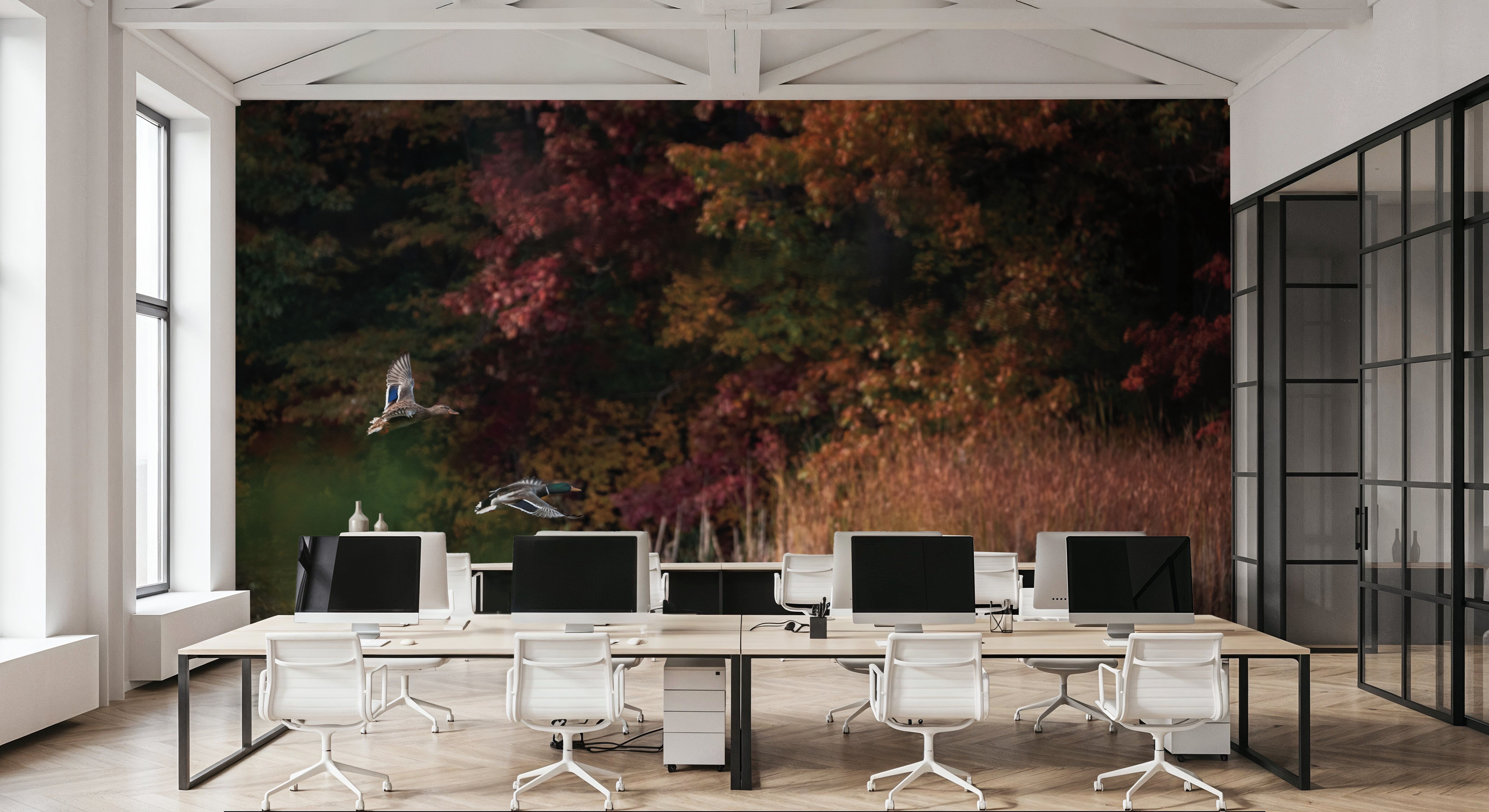 Fly Away, Carte da parati