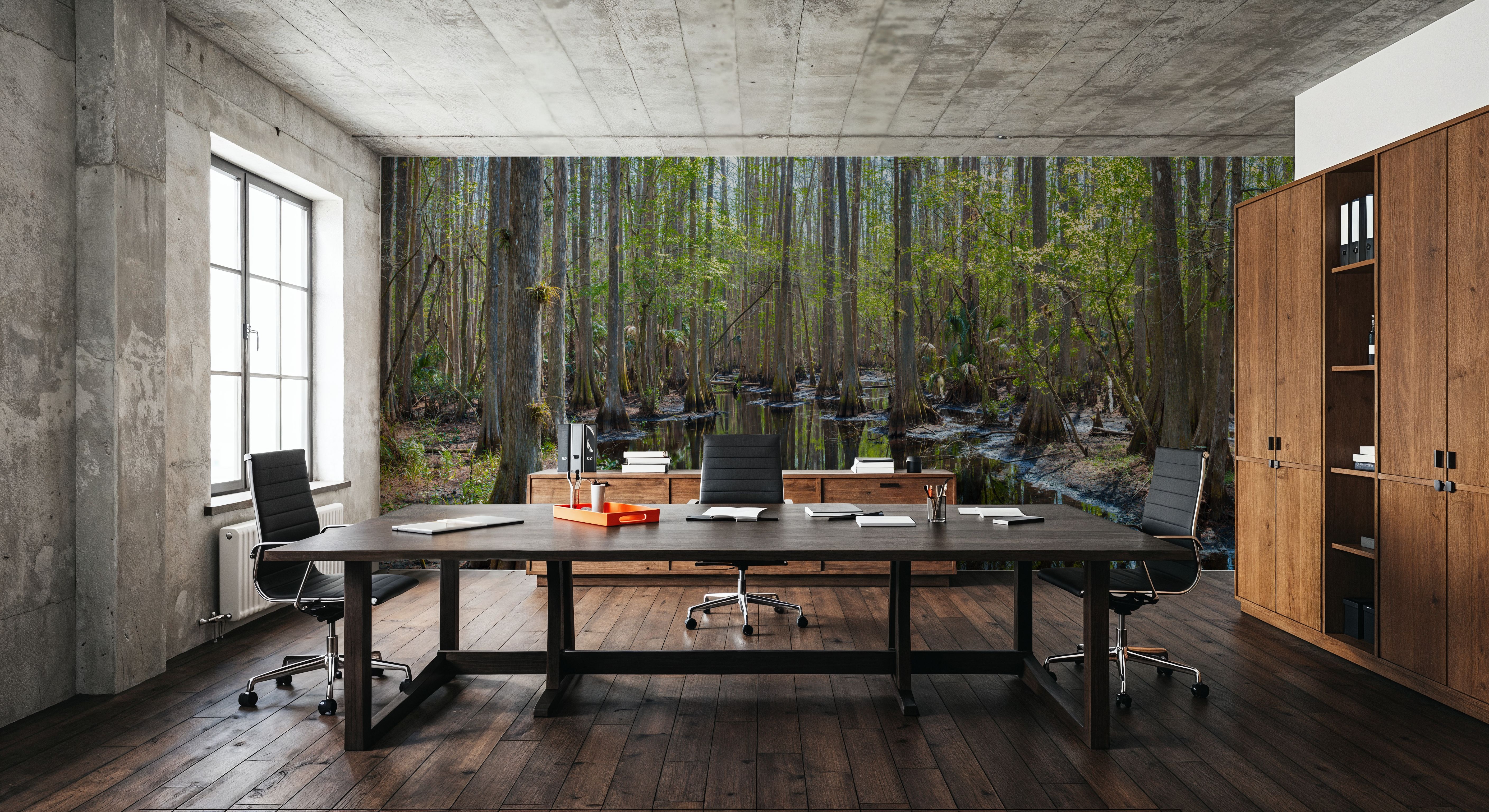 Highlands Hammock State Park