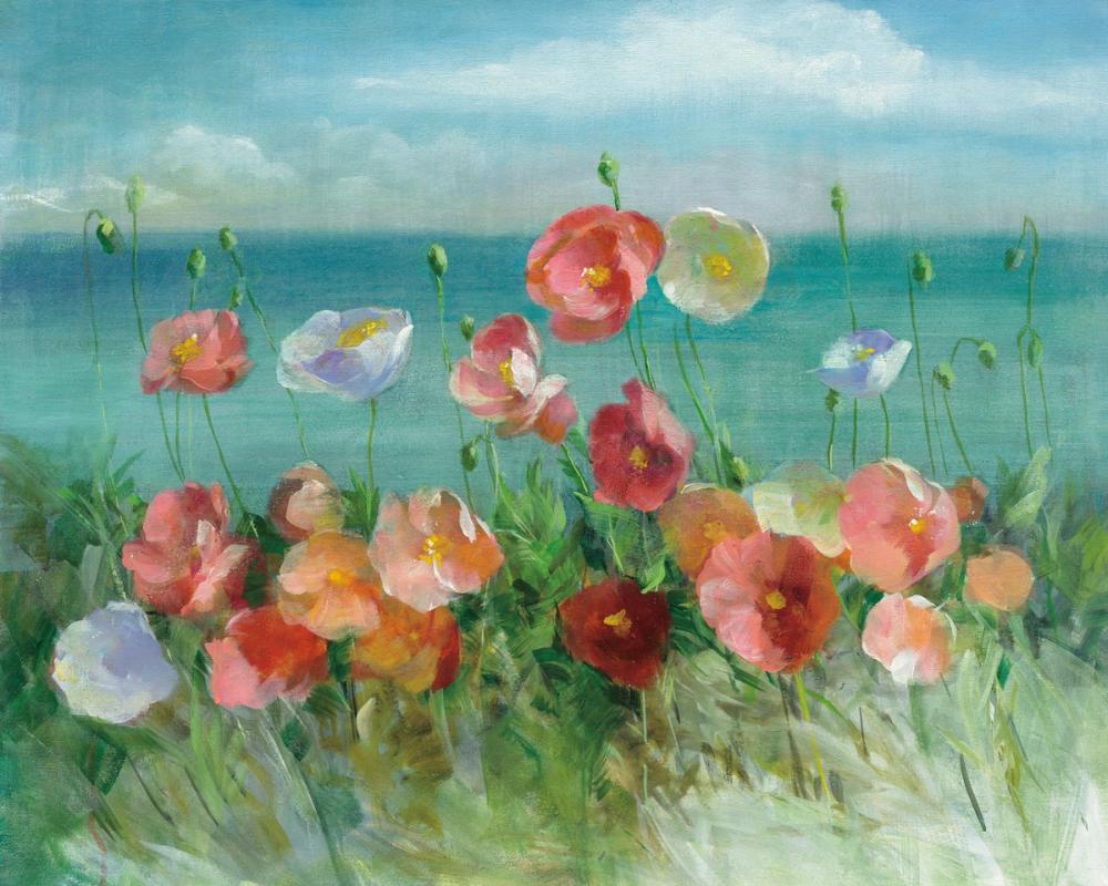Coastal Poppies