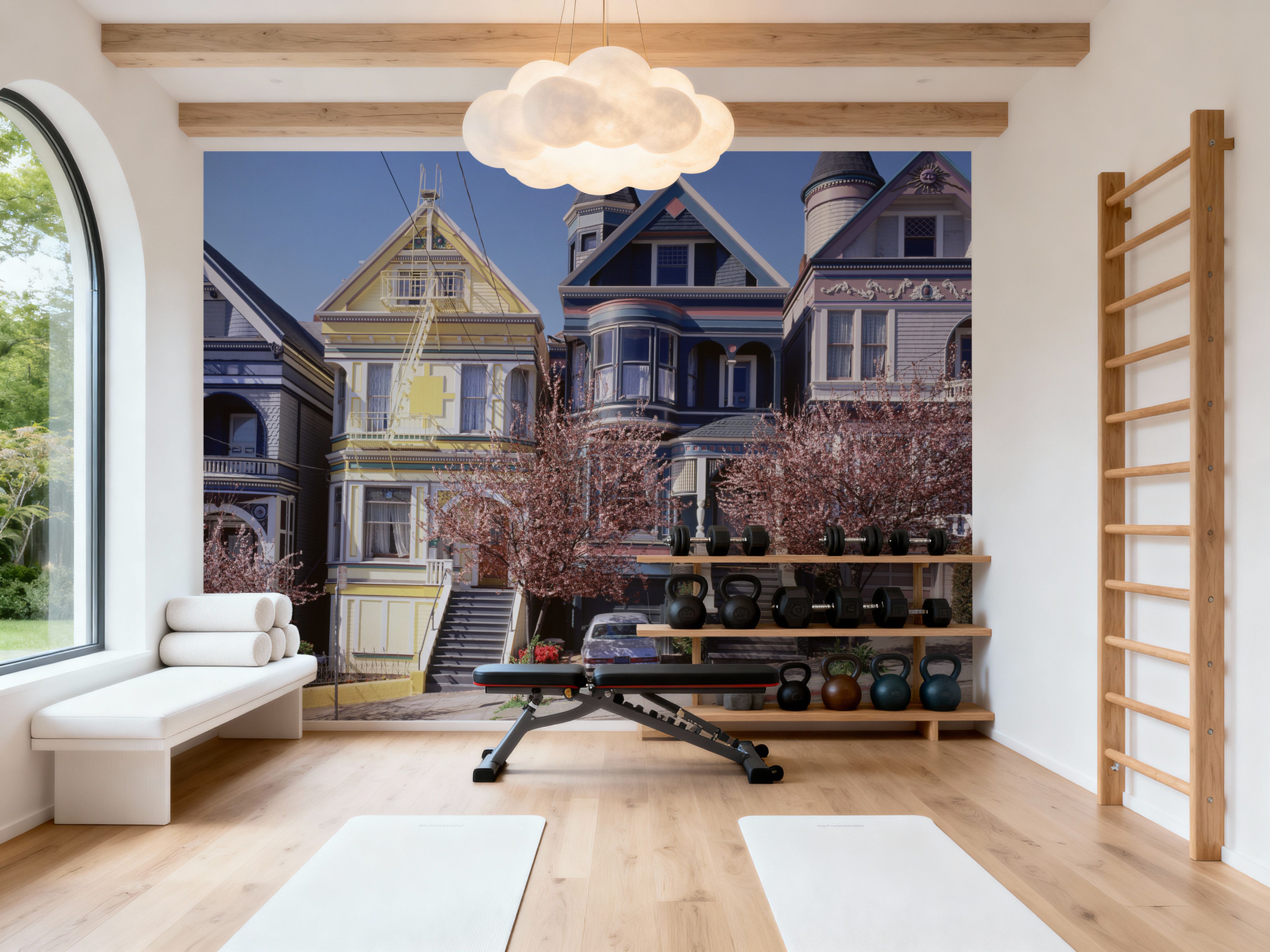 San Francisco Painted Ladies