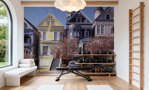San Francisco Painted Ladies