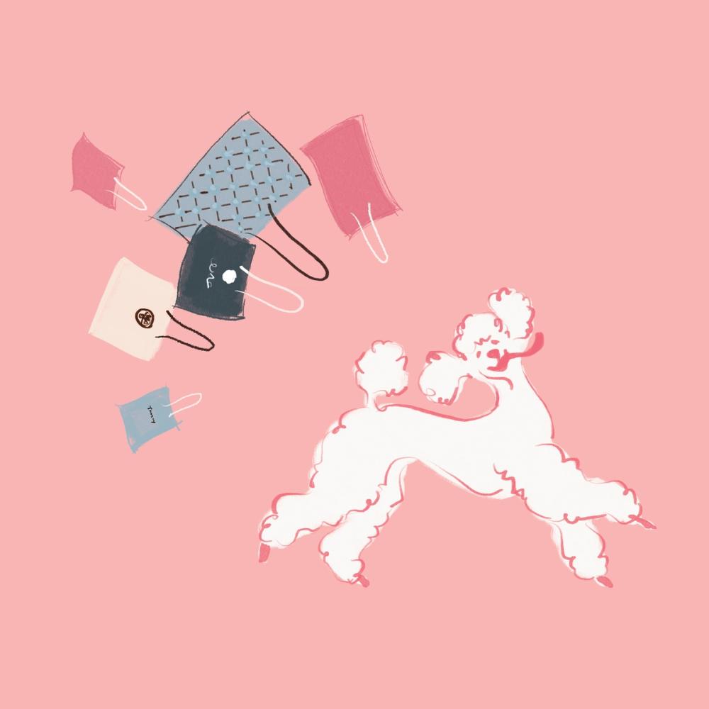 Poodle Shopping Spree