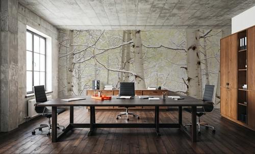 Winter Birch Forest