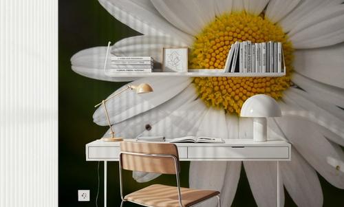 Daisy Petals