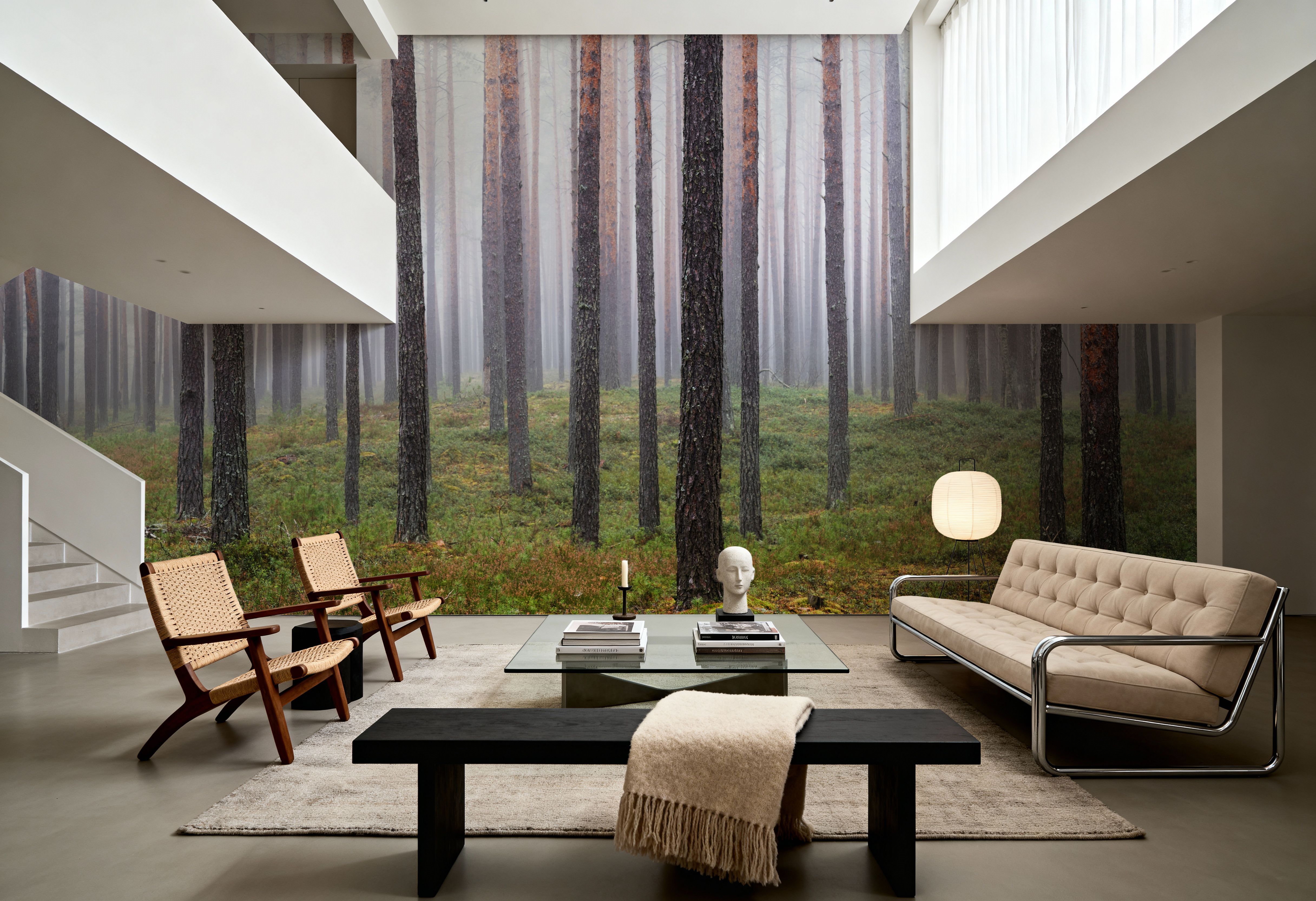 Hide and Seek Forest