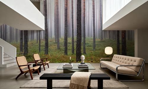 Hide and Seek Forest