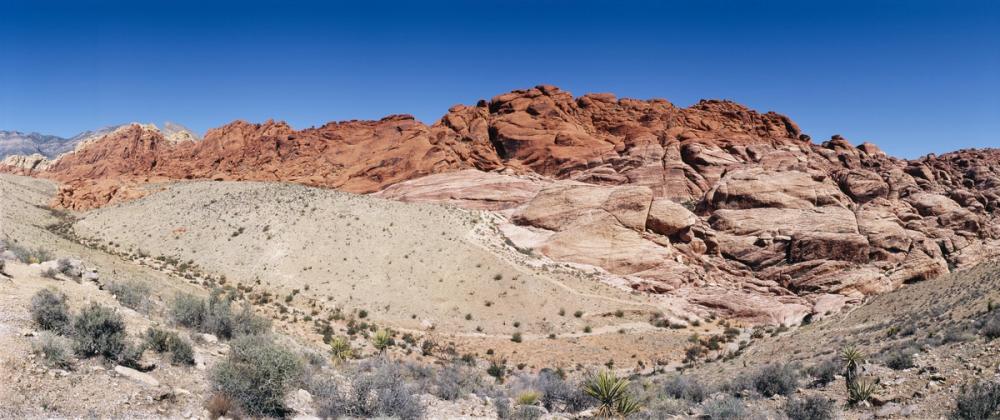 Desert Mittens Silhouette