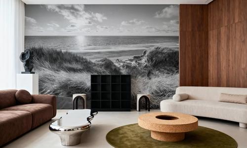 Dune Landscape, Black & White