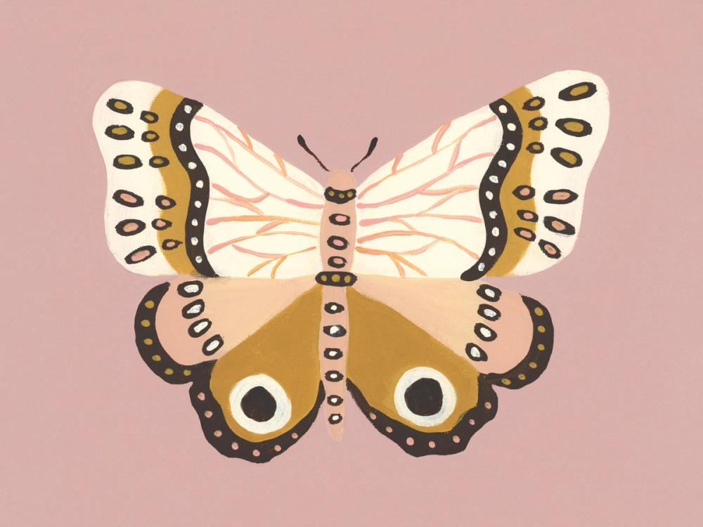 Cinnamon Butterfly Blush