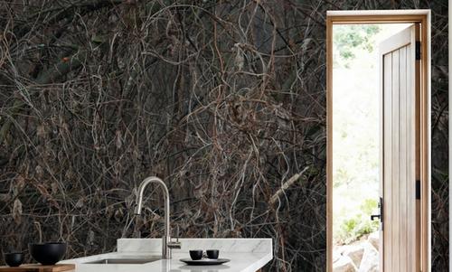 Fall Thicket