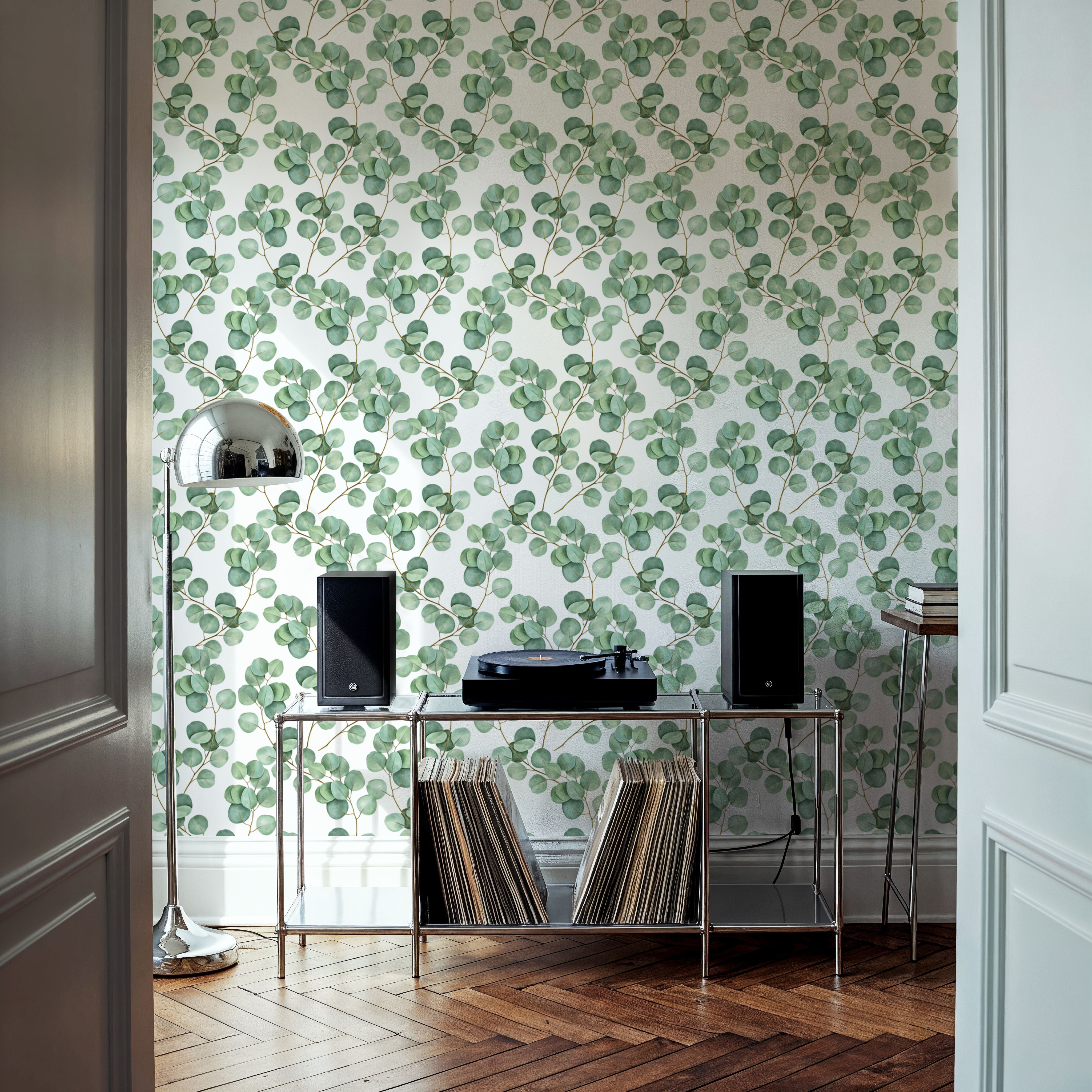 Myrtaceae , Wallpaper