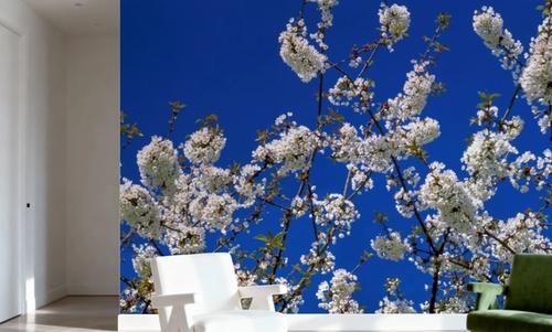 Azure Blossom