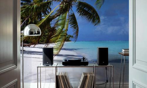 Paradise Shoreline