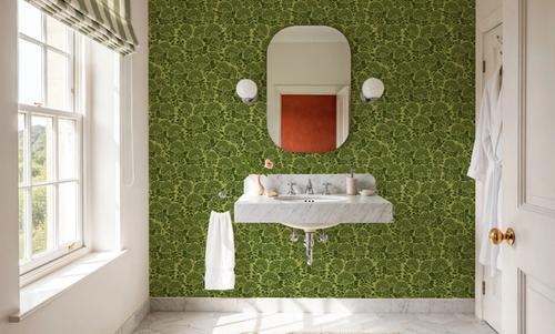 Hydrangea, Lime