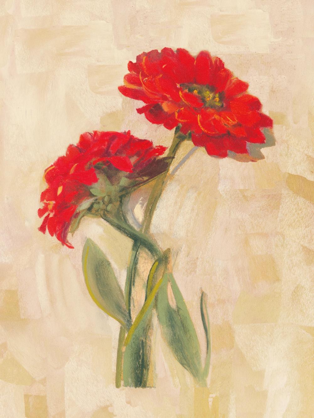 Spicy Zinnias