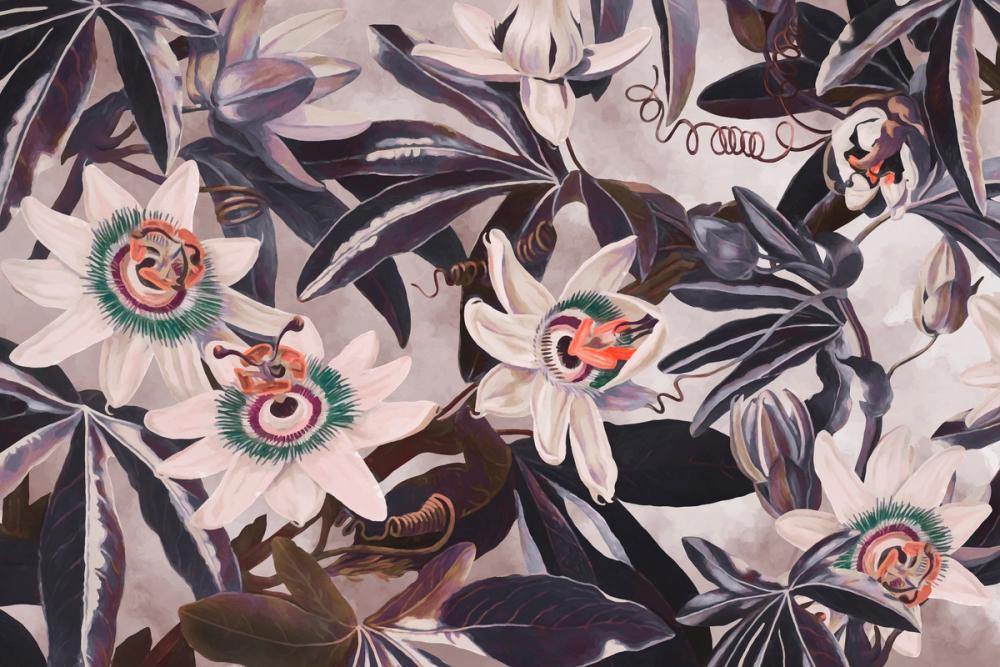 White Passiflora Reddish Green