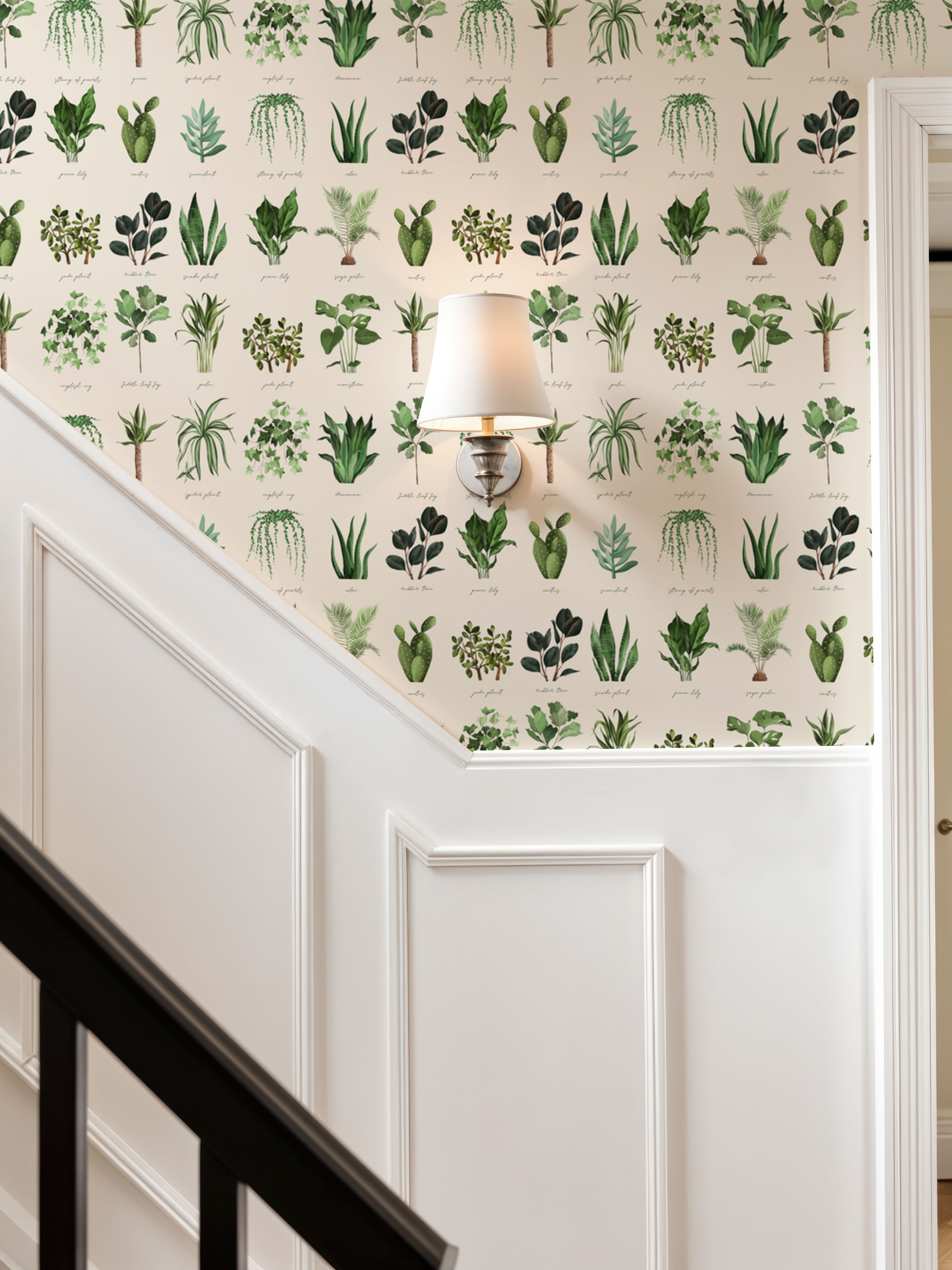 House Plant White