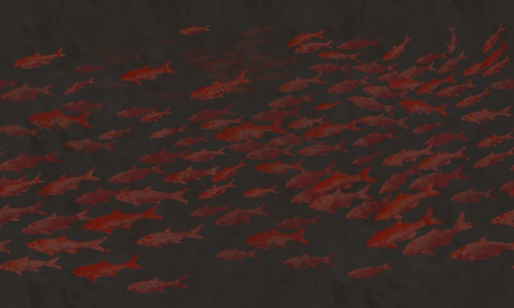 Sumi Current, Cinnabar