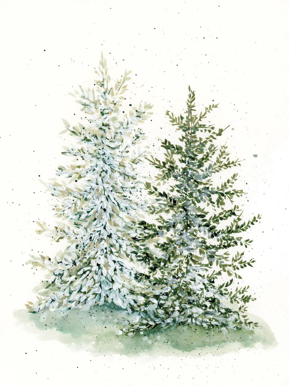 Winter Pine