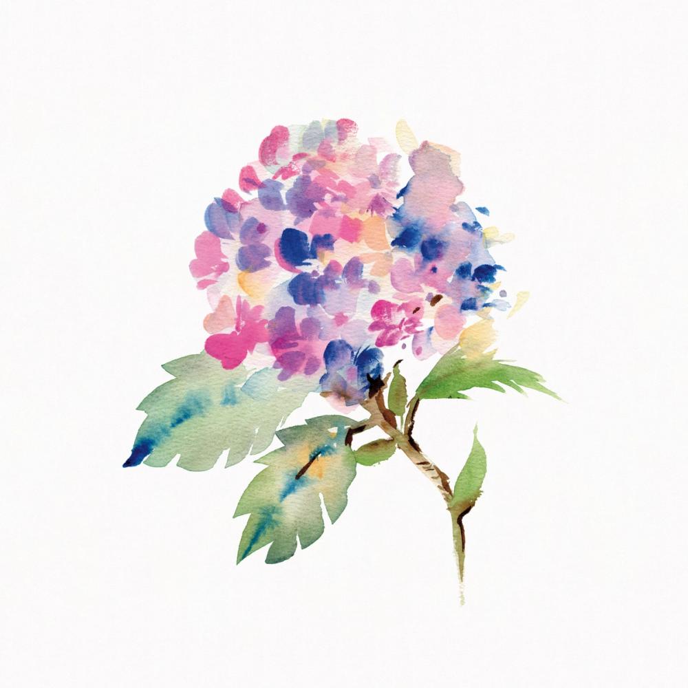 Happy Hydrangea