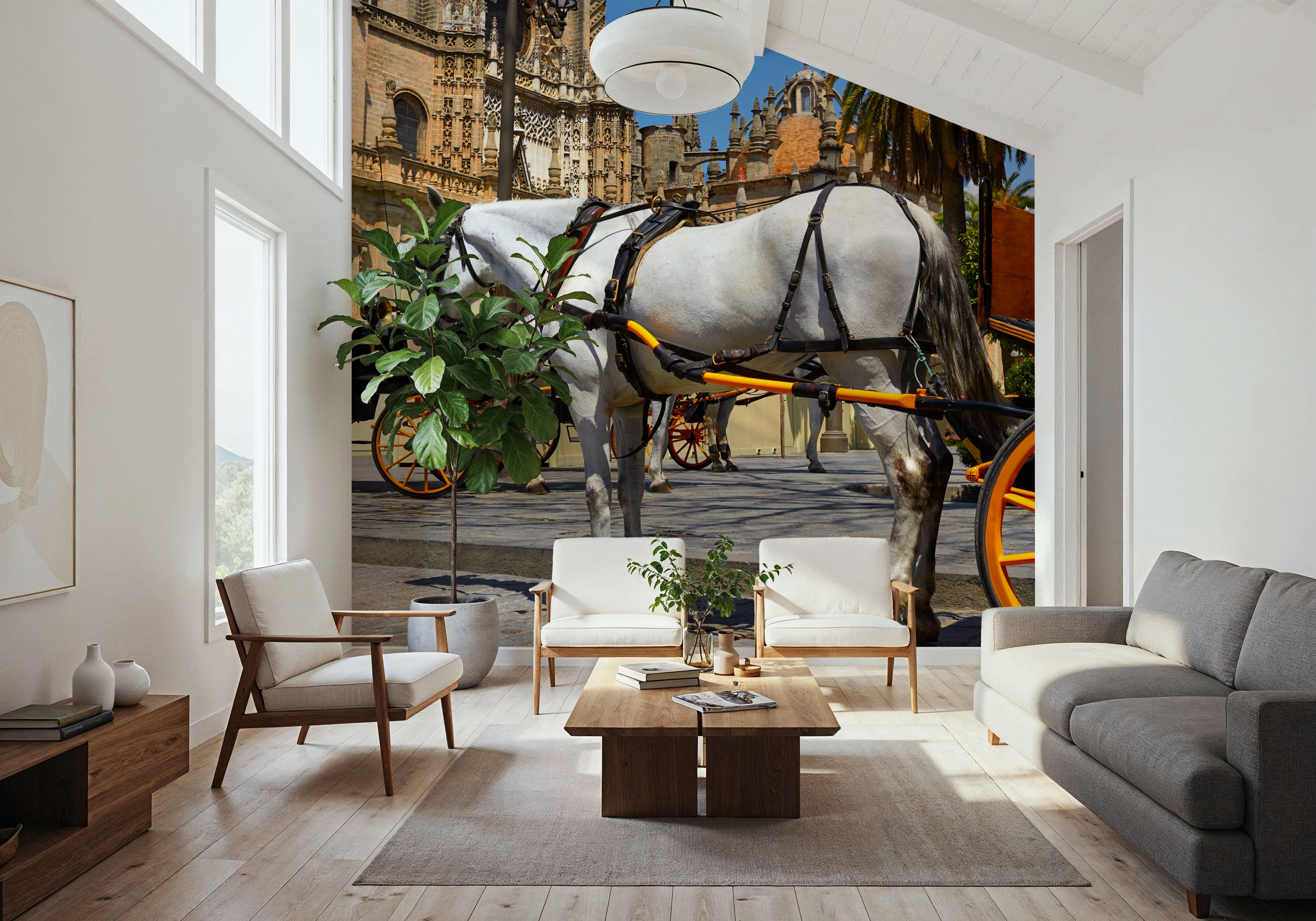 Seville Horse Carriages